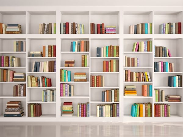 Bookshelf Assembly in Apopka